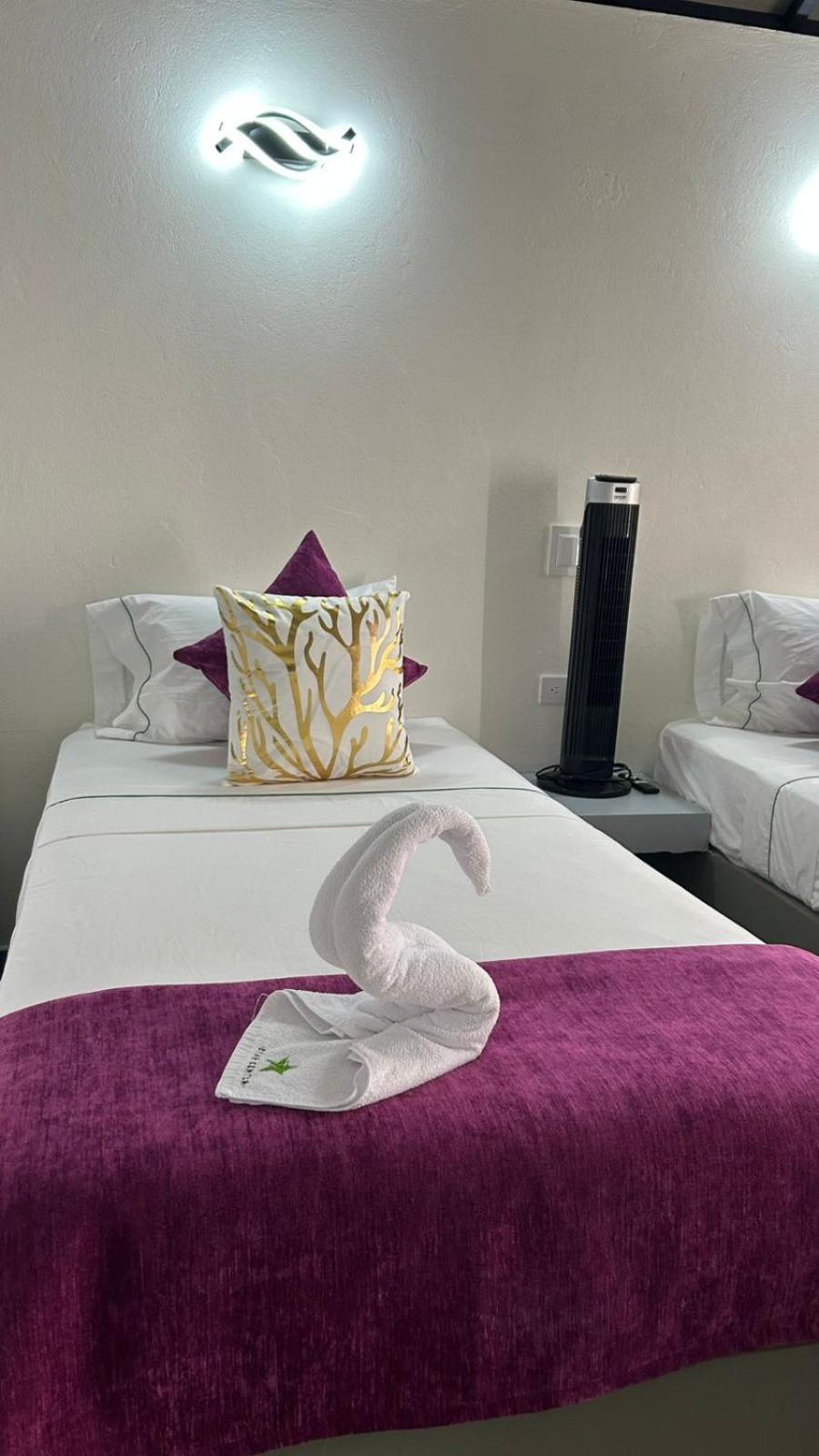 Star Center Hotel Boutique リオネグロ エクステリア 写真